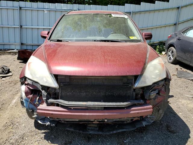 Photo 4 VIN: 5J6RE4H77AL039406 - HONDA CRV 