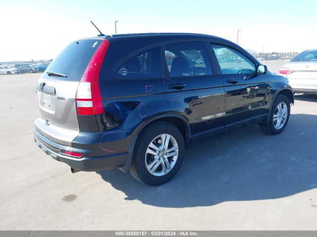 Photo 3 VIN: 5J6RE4H77AL084085 - HONDA CR-V 