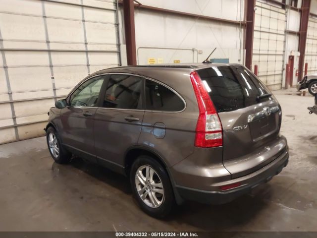 Photo 2 VIN: 5J6RE4H77AL084183 - HONDA CR-V 