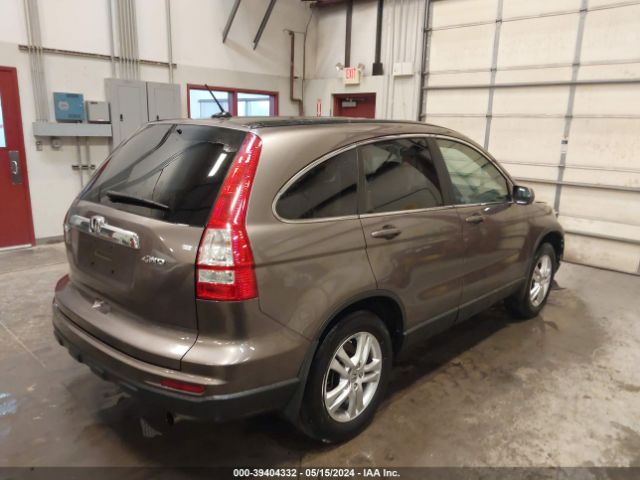 Photo 3 VIN: 5J6RE4H77AL084183 - HONDA CR-V 