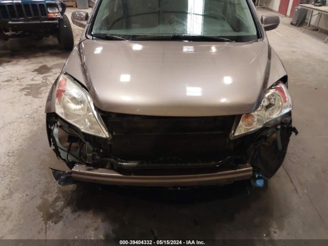 Photo 5 VIN: 5J6RE4H77AL084183 - HONDA CR-V 