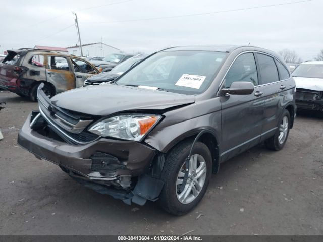 Photo 1 VIN: 5J6RE4H77AL090727 - HONDA CR-V 