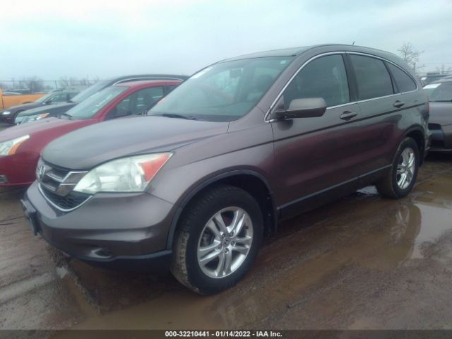 Photo 1 VIN: 5J6RE4H77AL100821 - HONDA CR-V 