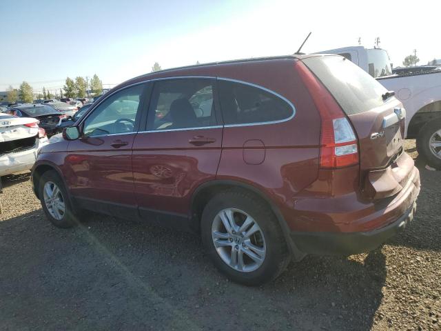 Photo 1 VIN: 5J6RE4H77AL800869 - HONDA CRV 