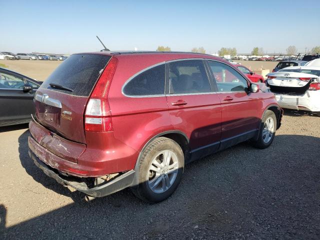 Photo 2 VIN: 5J6RE4H77AL800869 - HONDA CRV 