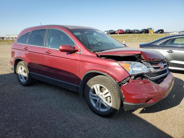 Photo 3 VIN: 5J6RE4H77AL800869 - HONDA CRV 