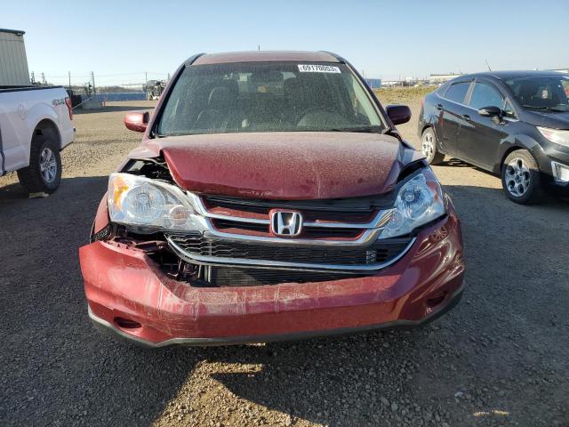 Photo 4 VIN: 5J6RE4H77AL800869 - HONDA CRV 