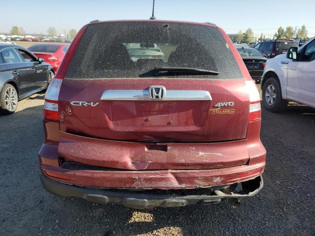 Photo 5 VIN: 5J6RE4H77AL800869 - HONDA CRV 