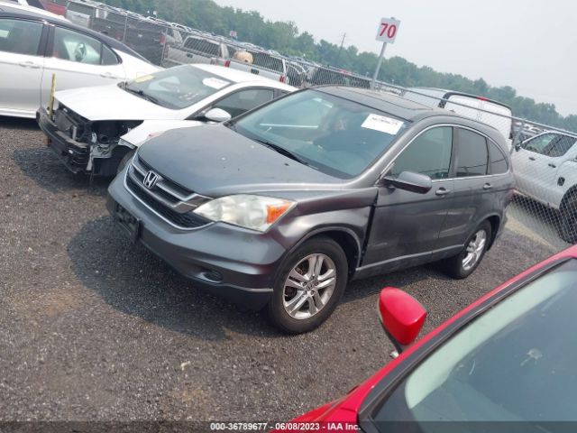 Photo 1 VIN: 5J6RE4H77BL009369 - HONDA CR-V 