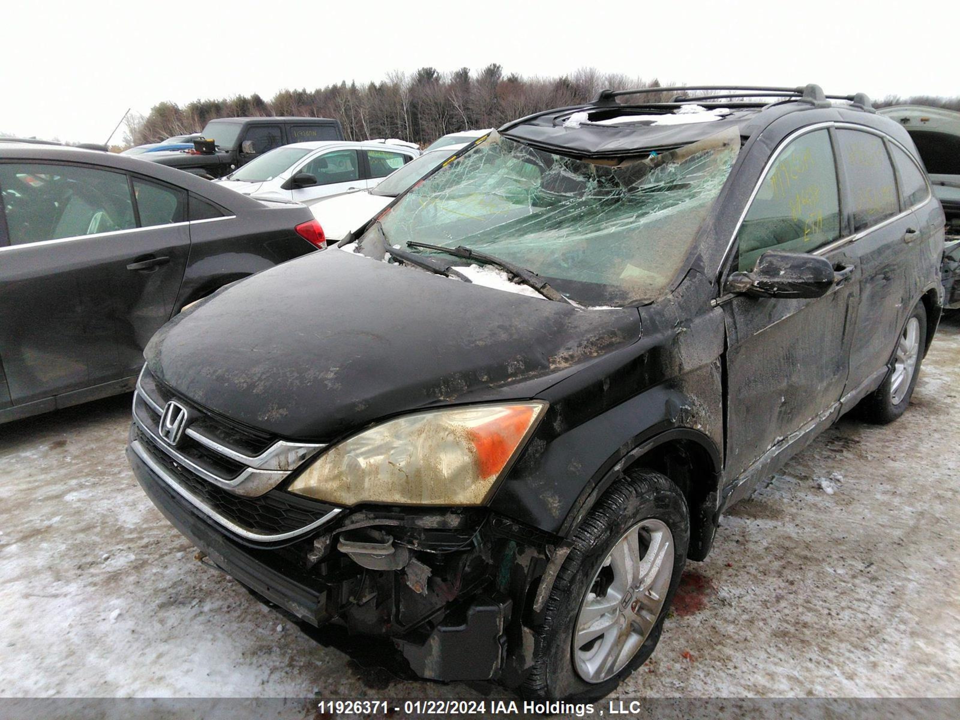 Photo 5 VIN: 5J6RE4H78BL816497 - HONDA CR-V 