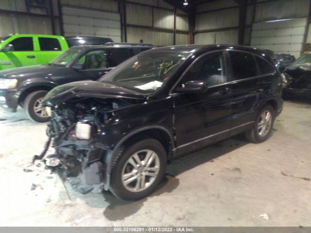 Photo 1 VIN: 5J6RE4H79AL010859 - HONDA CR-V 