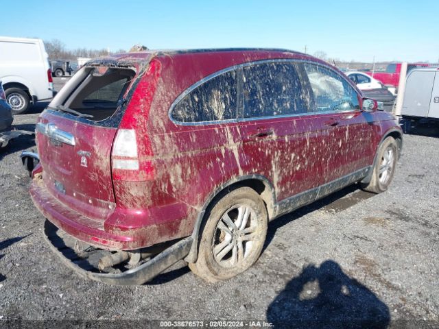 Photo 3 VIN: 5J6RE4H79AL061679 - HONDA CR-V 