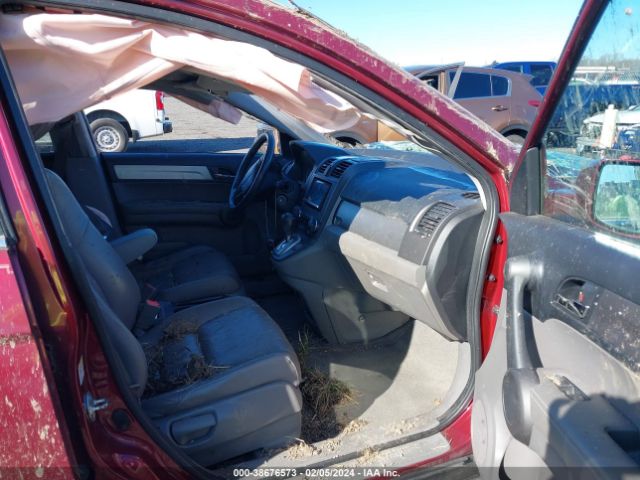 Photo 4 VIN: 5J6RE4H79AL061679 - HONDA CR-V 