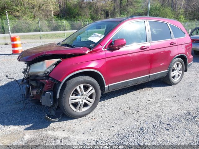 Photo 1 VIN: 5J6RE4H79BL034631 - HONDA CR-V 