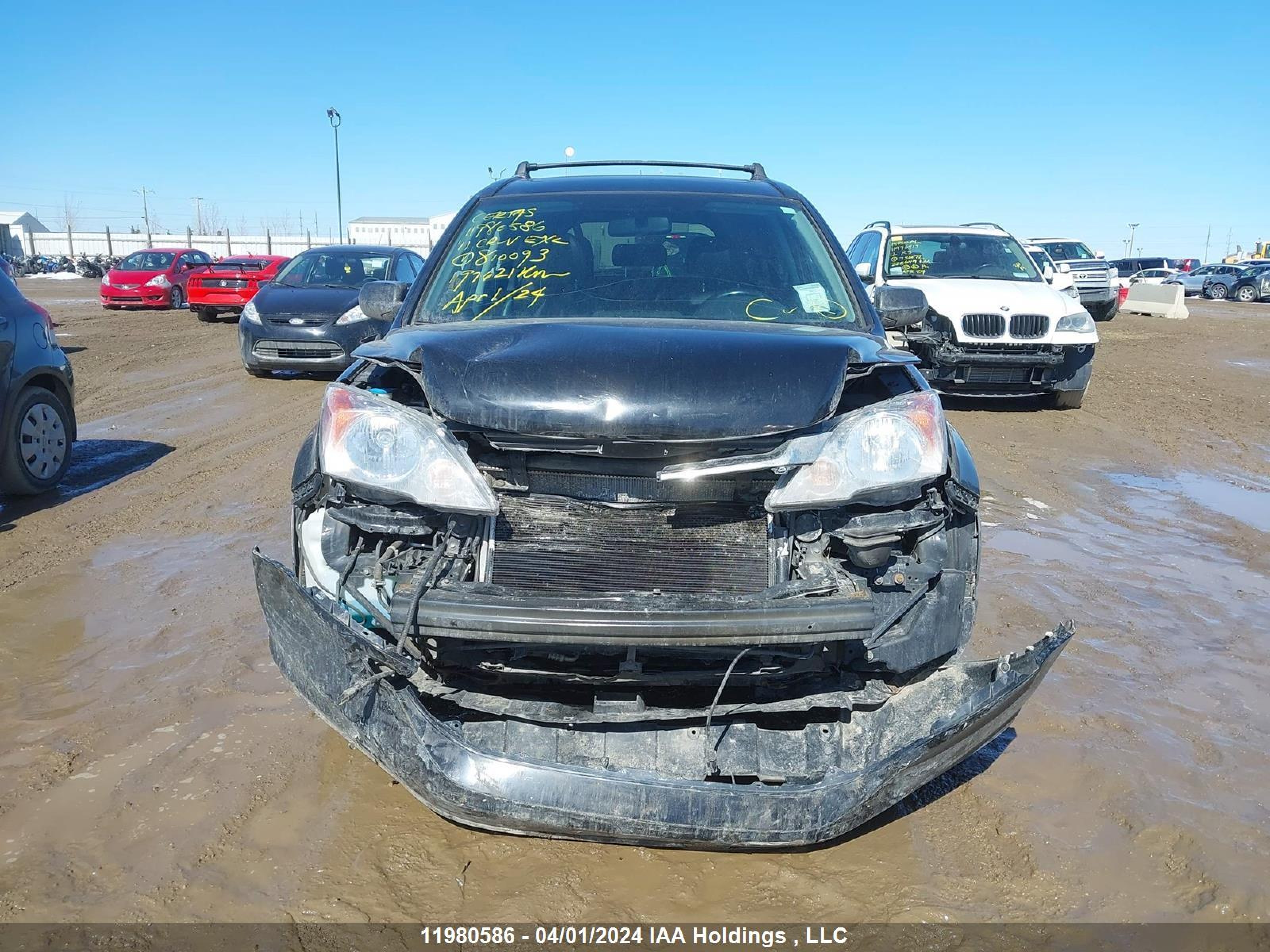 Photo 11 VIN: 5J6RE4H79BL810093 - HONDA CR-V 