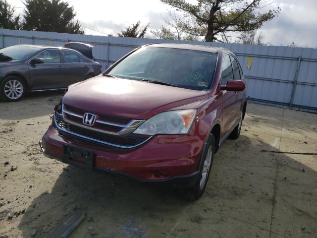 Photo 0 VIN: 5J6RE4H7XBL056329 - HONDA CR-V EXL 