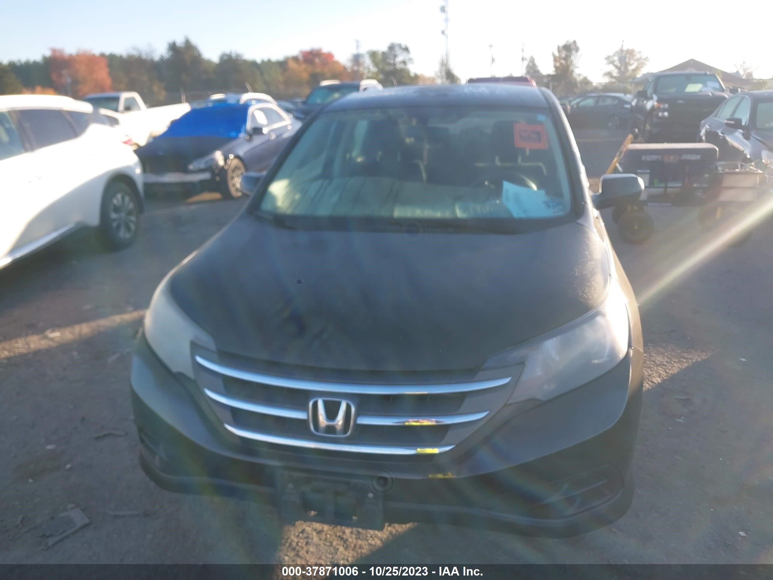 Photo 11 VIN: 5J6RM3H36EL016683 - HONDA CR-V 