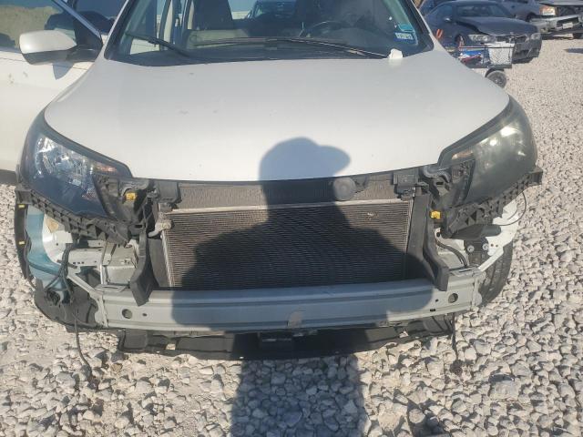 Photo 11 VIN: 5J6RM3H78EL040258 - HONDA CR-V EXL 