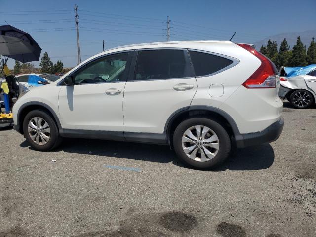 Photo 1 VIN: 5J6RM3H79EL018253 - HONDA CRV 