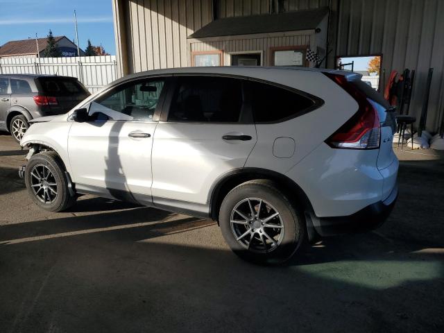 Photo 1 VIN: 5J6RM4H31EL083262 - HONDA CRV 