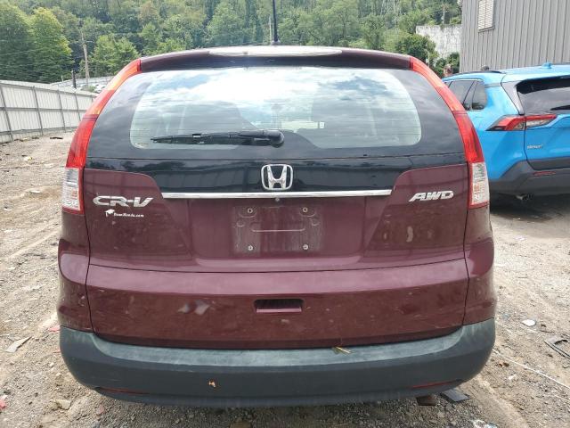 Photo 5 VIN: 5J6RM4H32EL101395 - HONDA CRV 