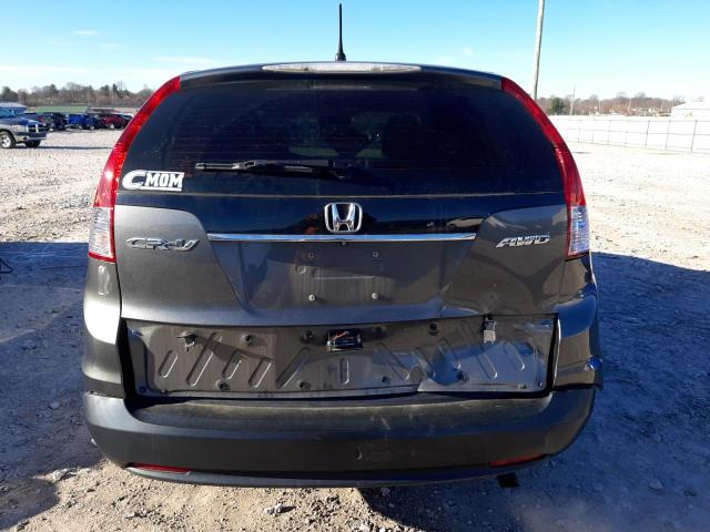 Photo 5 VIN: 5J6RM4H36EL060348 - HONDA CRV 