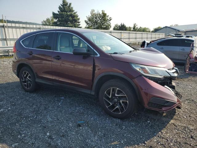 Photo 3 VIN: 5J6RM4H44GL097670 - HONDA CRV 