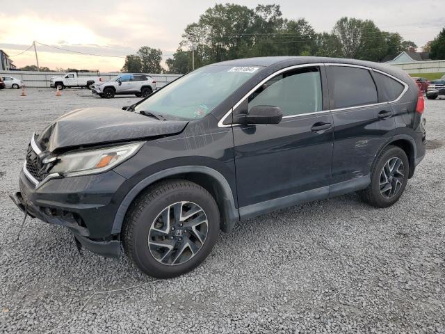 Photo 0 VIN: 5J6RM4H47GL117135 - HONDA CR-V SE 