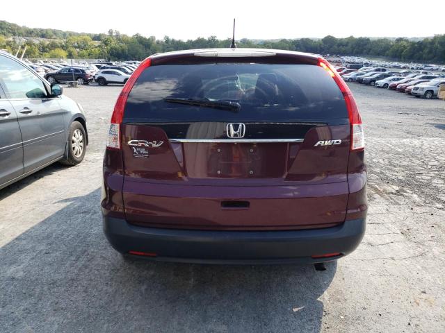 Photo 5 VIN: 5J6RM4H50EL052747 - HONDA CR-V EX 