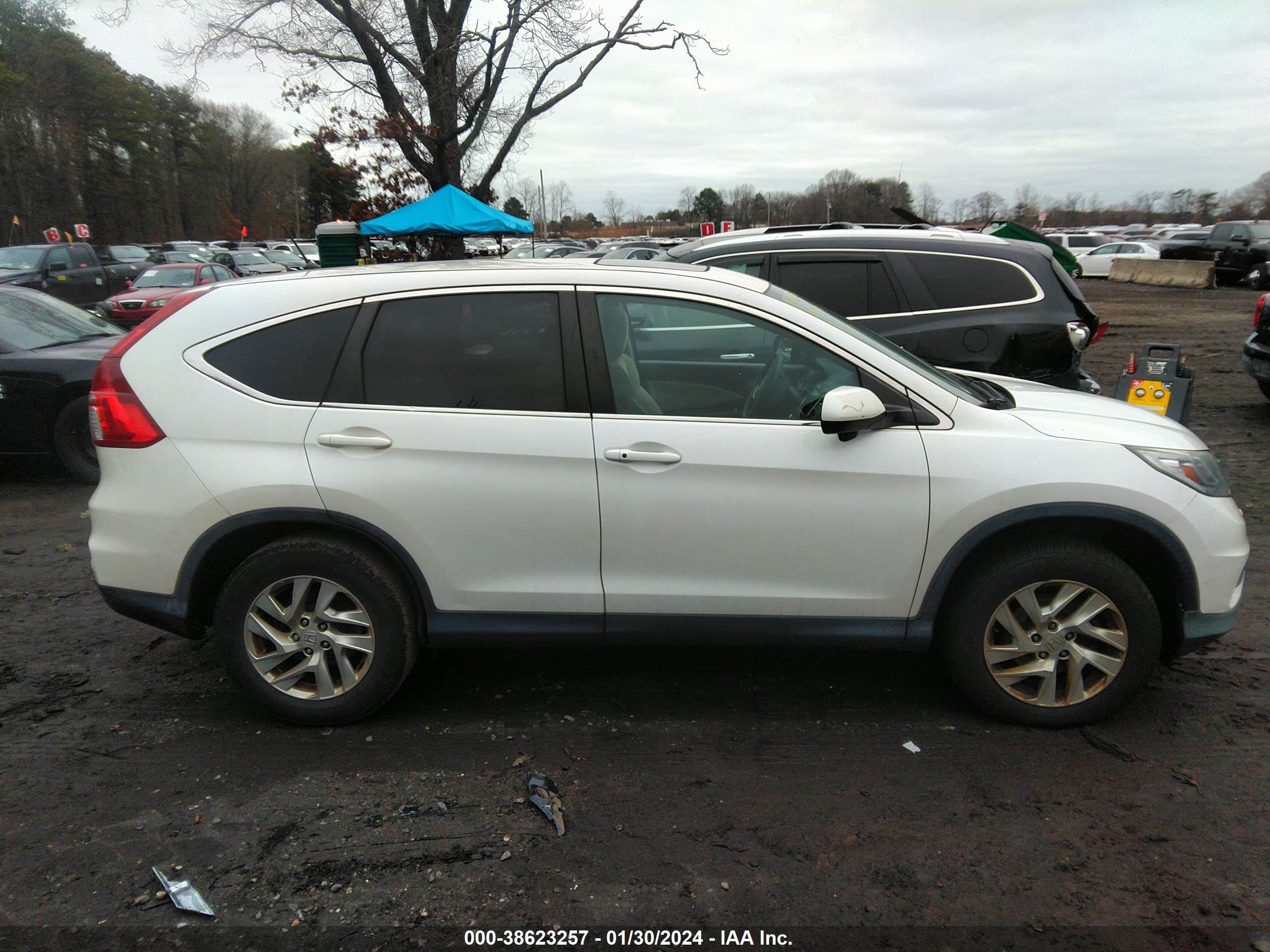 Photo 12 VIN: 5J6RM4H50FL058288 - HONDA CR-V 