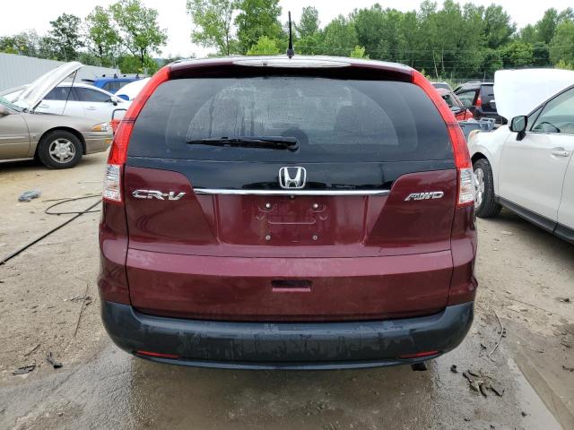 Photo 5 VIN: 5J6RM4H51EL034189 - HONDA CR-V EX 