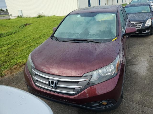 Photo 4 VIN: 5J6RM4H54EL025910 - HONDA CR-V EX 