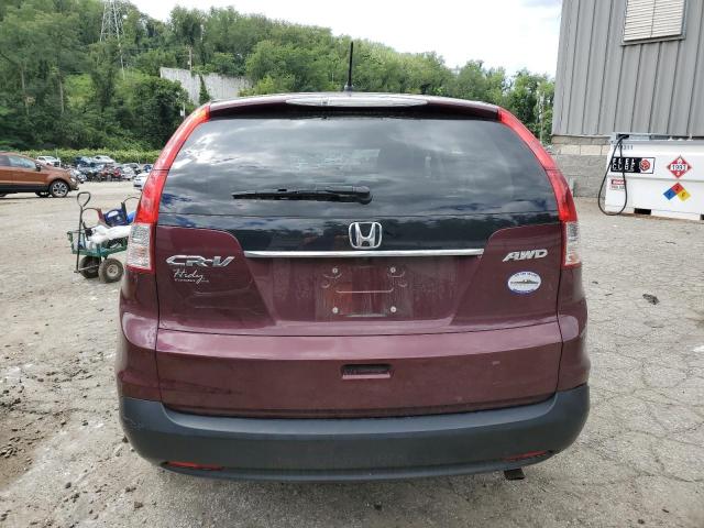 Photo 5 VIN: 5J6RM4H58CL037684 - HONDA CR-V EX 