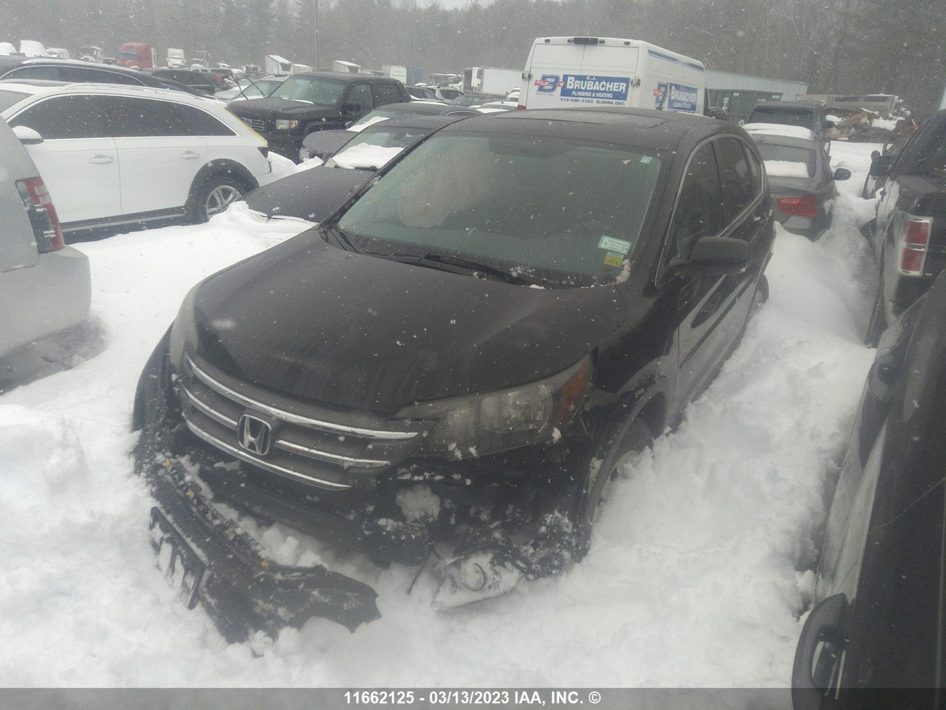 Photo 1 VIN: 5J6RM4H59CL021039 - HONDA CR-V 