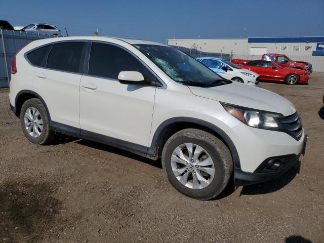 Photo 3 VIN: 5J6RM4H59EL026650 - HONDA CR-V EX 