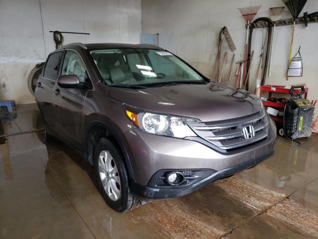 Photo 0 VIN: 5J6RM4H71EL008225 - HONDA CR-V EXL 