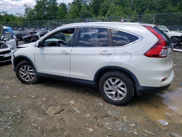 Photo 1 VIN: 5J6RM4H71GL054544 - HONDA CRV 