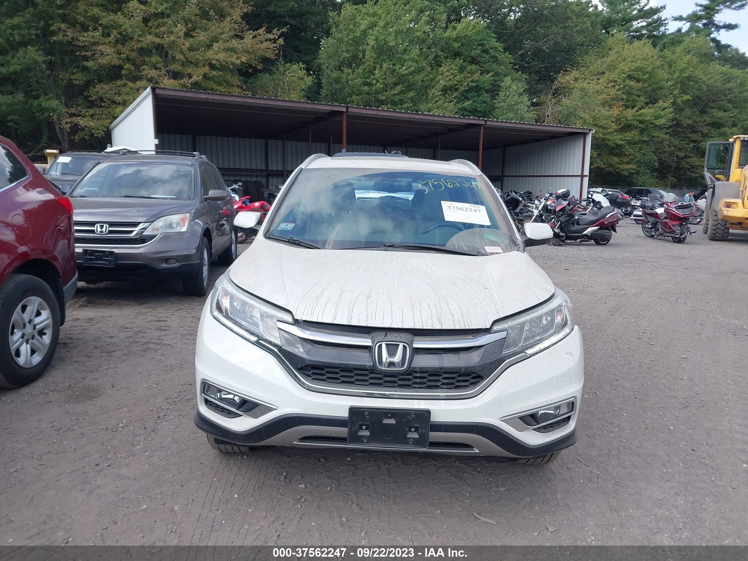 Photo 12 VIN: 5J6RM4H71GL064412 - HONDA CR-V 