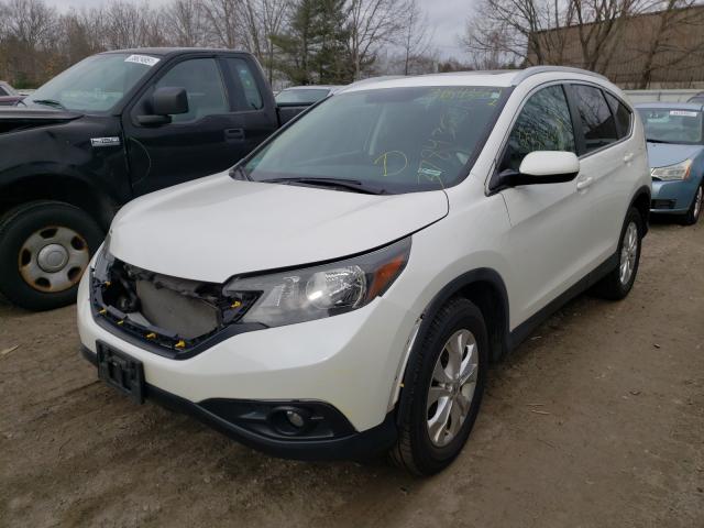 Photo 1 VIN: 5J6RM4H75EL101118 - HONDA CR-V EXL 