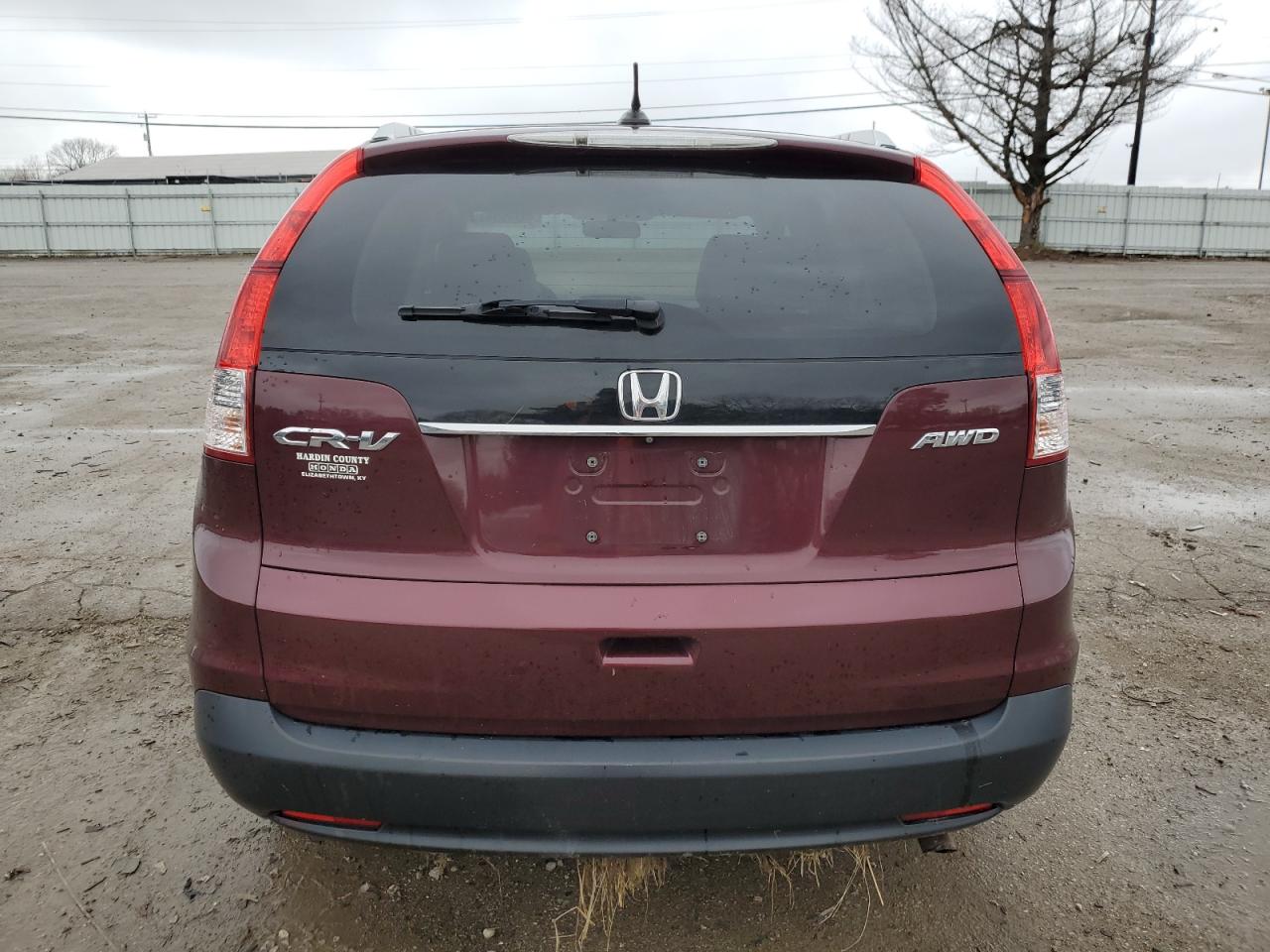 Photo 5 VIN: 5J6RM4H77EL034716 - HONDA CR-V 