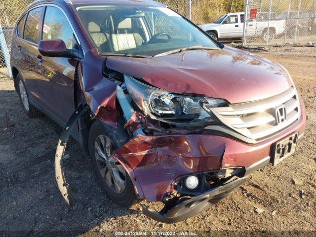 Photo 5 VIN: 5J6RM4H79EL041280 - HONDA CR-V 