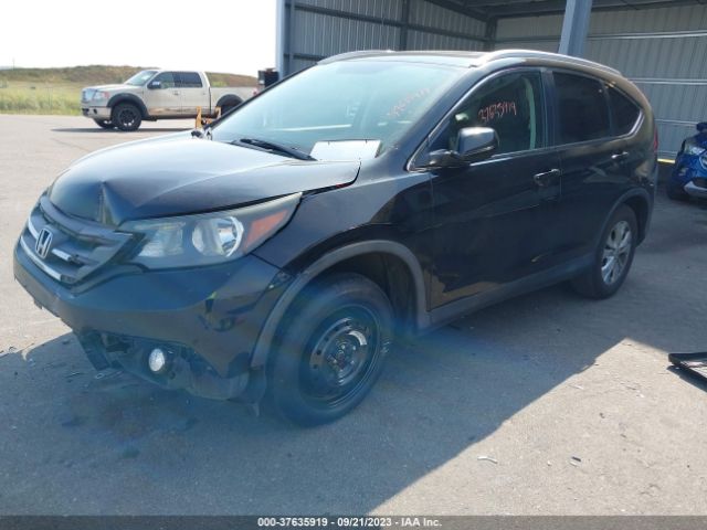 Photo 1 VIN: 5J6RM4H79EL067409 - HONDA CR-V 