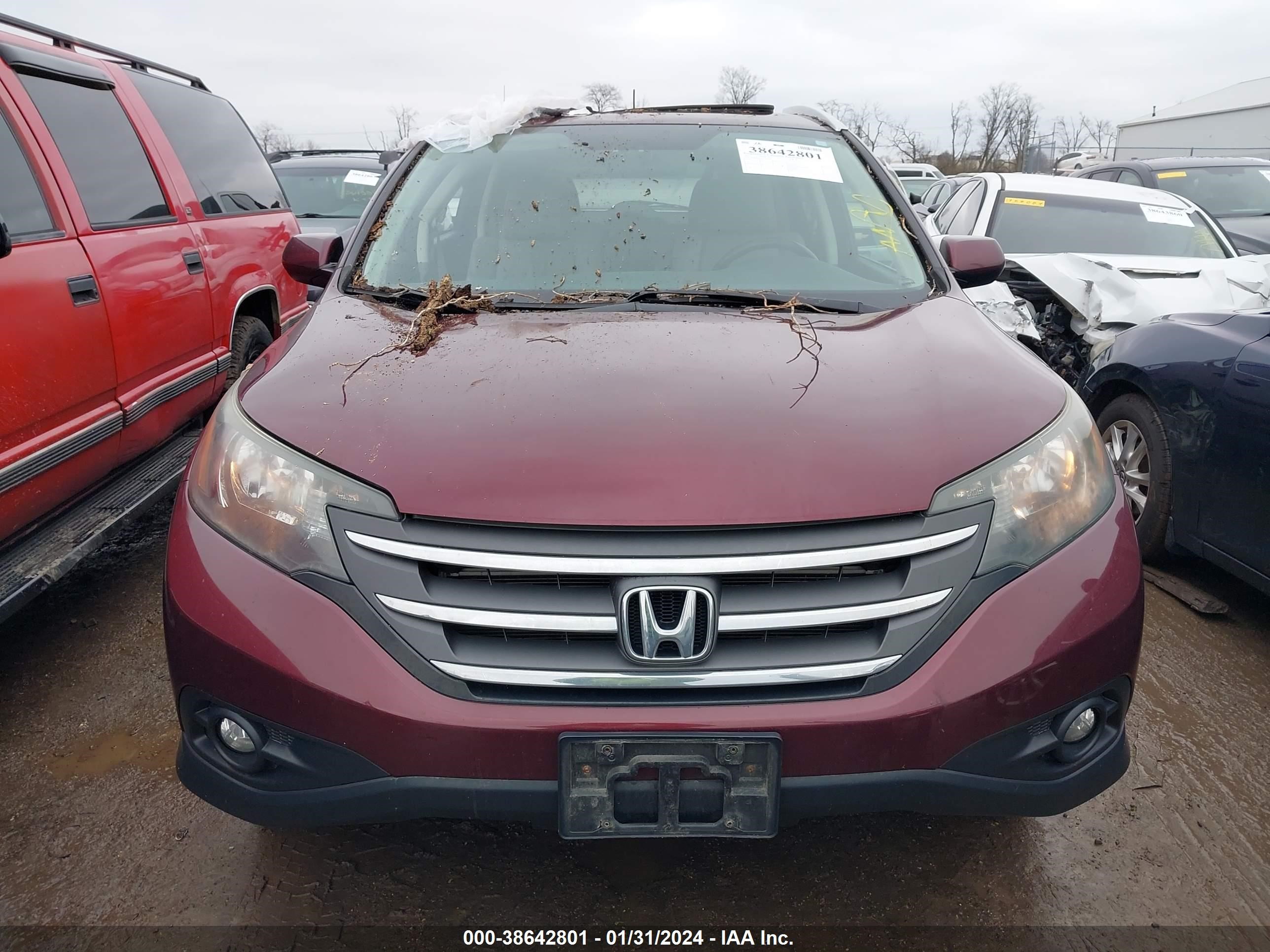 Photo 11 VIN: 5J6RM4H7XDL018489 - HONDA CR-V 