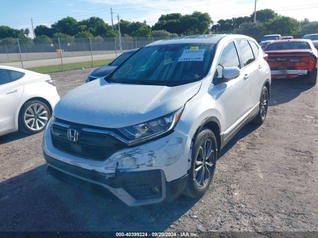 Photo 5 VIN: 5J6RW1H50LL011248 - HONDA CR-V 