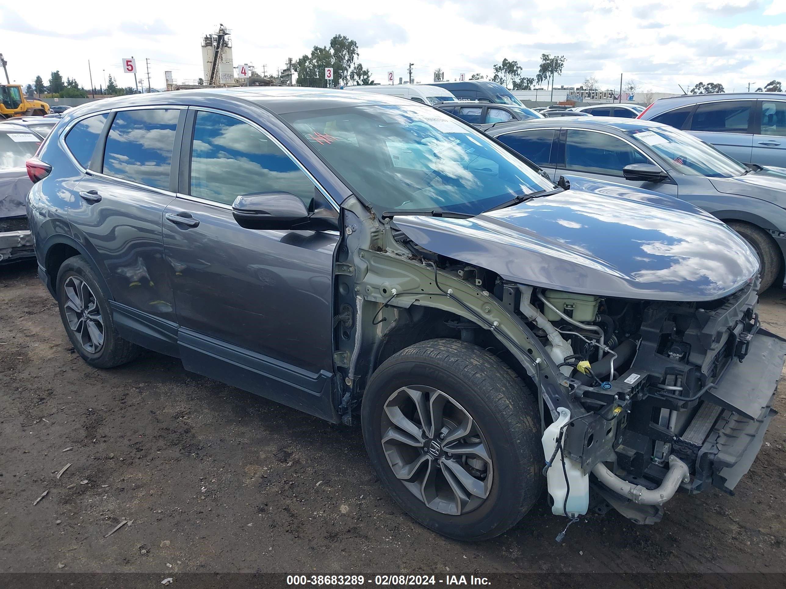 Photo 13 VIN: 5J6RW1H51LA008418 - HONDA CR-V 