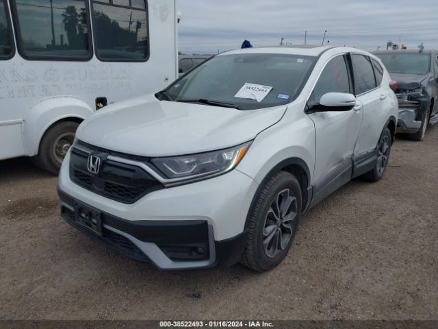 Photo 1 VIN: 5J6RW1H51LL007967 - HONDA CR-V 