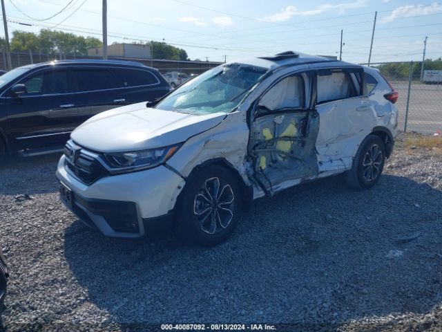 Photo 1 VIN: 5J6RW1H56LL001369 - HONDA CR-V 