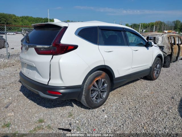 Photo 3 VIN: 5J6RW1H56LL001369 - HONDA CR-V 