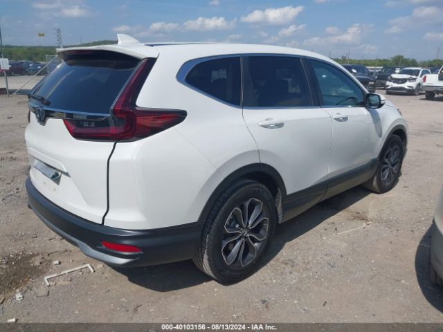 Photo 3 VIN: 5J6RW1H85LL012986 - HONDA CR-V 