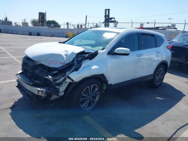 Photo 1 VIN: 5J6RW1H86LA010983 - HONDA CR-V 